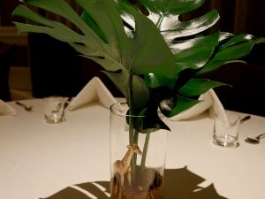 Sofitel-Safari1