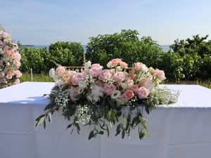 IMG_8955